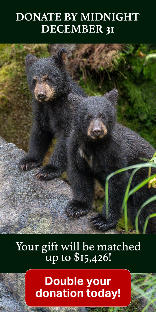 Holidays 2025 End Of Year