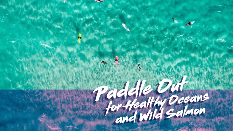 Paddle Out For Healthy Oceans and Wild Salmon