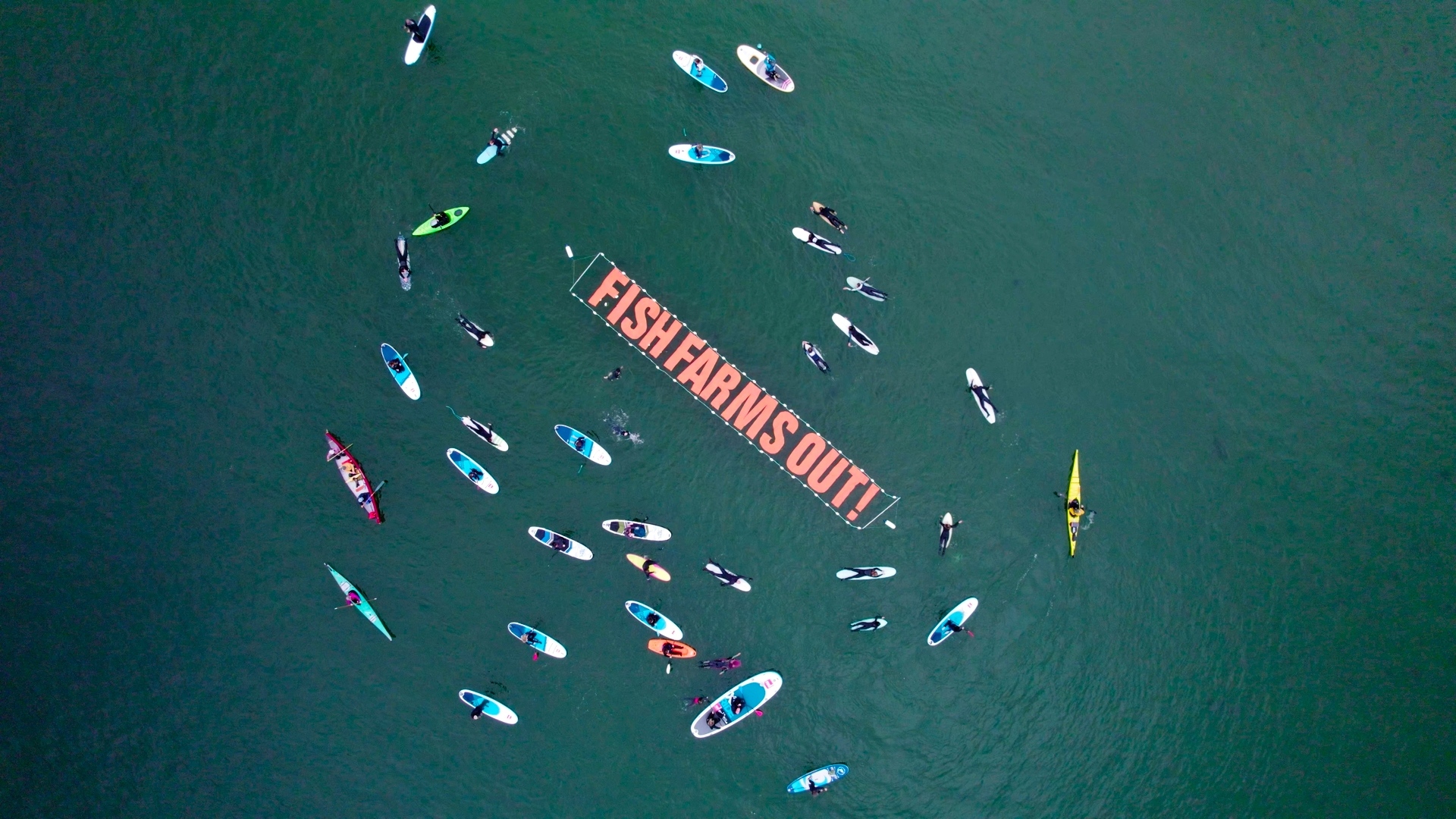 Paddle Out for Wild Salmon