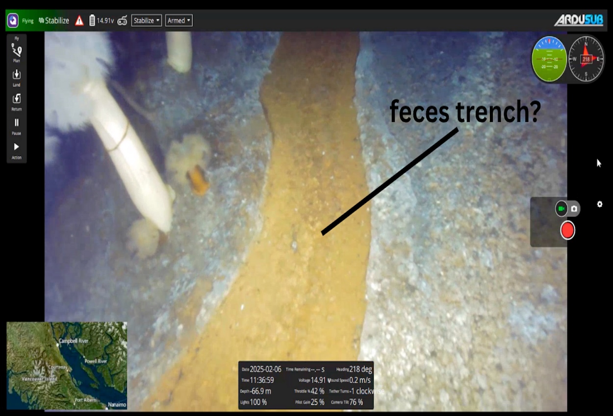 The Sh*t Tapes: What Factory Fish Farms Don’t Want You to See Underwater 