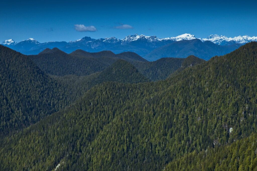 Clayoquot Sound, First Nations’ Visions and B.C. Tenure Change Advances Old-growth Protection and a Conservation Economy