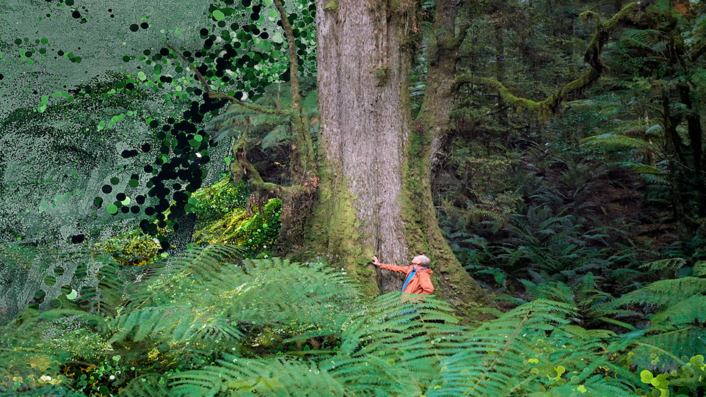 The Giants - Tofino Adventure Film Festival