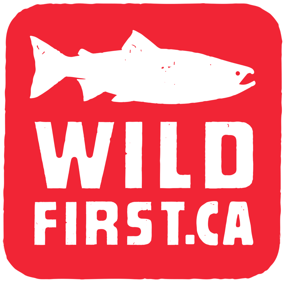 Wild First
