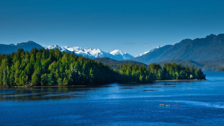 Guides Nite Tofino / Industry Night