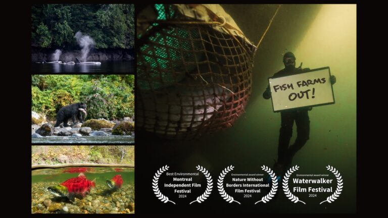 Salmon Secrets Summer Show in Tofino