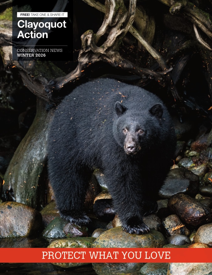 "Big Black Bear" by Jérémy MATHIEU