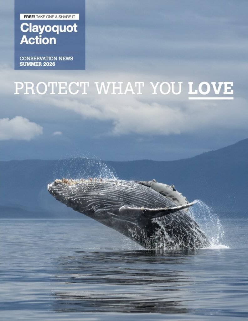 Clayoquot Action Summer Newsletter 2026