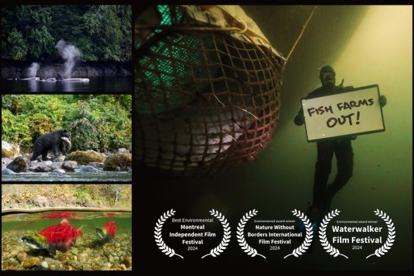 Salmon Secrets Summer Show in Tofino